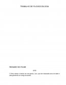 Dissertação sociologica do filme Juno ETN2015