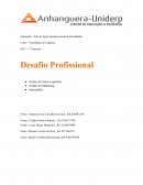 Desafio Profissional 2015