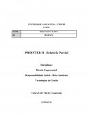Relatório parcial Prointer