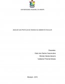 ANÁLISE DAS PRÁTICAS DE ENSINO NO AMBIENTE ESCOLAR