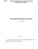 N ECESSIDADES EDUCATIVAS ESPECIAIS