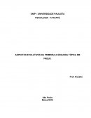 ASPECTOS EVOLUTIVOS DA PRIMEIRA A SEGUNDA TÓPICA EM FREUD.