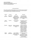 Anatomia basica