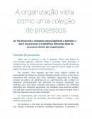 A organização vista como uma coleção de processos