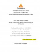Estrutura e organização da educação brasileira