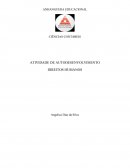 CIÊNCIAS CONTÁBEIS ATIVIDADE DE AUTODESENVOLVIMENTO DIREITOS HUMANOS