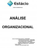 Trabalho de análise organizacional