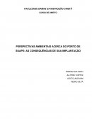 PERSPECTIVAS AMBIENTAIS ACERCA DO PORTO DE SUAPE AS CONSEQUÊNCIAS DE SUA IMPLANTAÇÃO