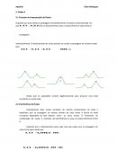 Fisica (ondas)