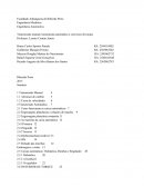 Transmissão manual, transmissão automática e conversor de torque