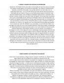 Texto traduzidos