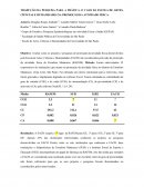 Resenha sobre controle interno