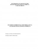 OS LIMITES JURÍDICOS DA TERCEIRIZAÇÃO NA ATIVIDADE-FIM DAS PESSOAS JURÍDICAS