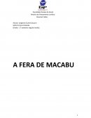 A fera de macabu