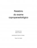 Exame coproparasitológico