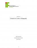 Estudo do cromo e manganes