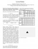 Relatório Lei de Hooke