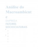 Fatores Socioculturais que podem afetar as atividades de uma consultoria