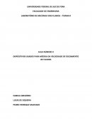 DISPOSITIVOS USADOS PARA MEDIDA DA VELOCIDADE DE ESCOAMENTO DE FLUIDOS