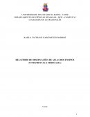 RELATÓRIO DE OBSERVAÇÕES DE AULAS DOS ENSINOS FUNDAMENTAL E MÉDIO (EJA)