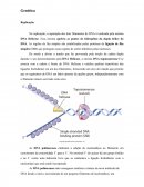 Resumo para Residencia Biologia molecular