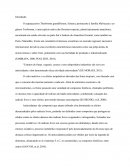 POTENCIAL ANTIOXIDANTE DO FRUTO E DOS PRODUTOS ADVINDOS DO CUPUAÇU (Theobroma Grandiflorum).