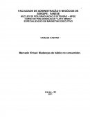 Mercado Virtual: Mudanças de hábito no consumidor
