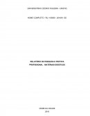 RELATÓRIO DE PESQUISA E PRÁTICA PROFISSIONAL - MATERIAIS DIDÁTICOS