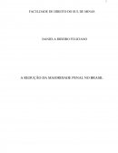 Projeto de Pesquisa - Redução da Maioridade Penal no Brasil