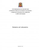 Filetagem de pescado: Elaboração De Empanados De Peixe