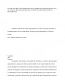 ESTUDO DAS RELAÇÕES TRABALHISTAS NO AMBIENTE ORGANIZACIONAL (SUA CULTURA, CLIMA ORGANIZACIONAL E POLÍTICA DE DESENVOLVIMENTO PROFISSIONAL)