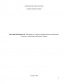 DESAFIO PROFISSIONAL: Planejamento e Controle da Produção,Sistema de Informações Gerenciais e Administração de Recursos Humanos