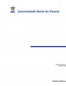 Indicadores Sociais do território de abrangência do CRAS Casa Familía Betinho como implementos do PAIF