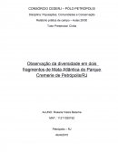 Observação da diversidade em dois fragmentos de Mata Atlântica do Parque Cremerie de Petrópolis/RJ