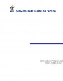 O capitalismo brasileiro e responsabilidade social ambiental