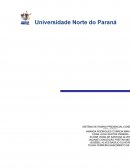 Portifolio