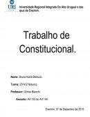 Constitucional