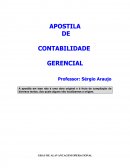 A Contabilidade Gerencial