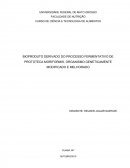 BIOPRODUTO DERIVADO DO PROCESSO FERMENTATIVO DE PROTOTECA MORIFORMIS, ORGANISMO GENETICAMENTE MODIFICADO E MELHORADO