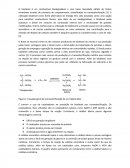 Relatório Sobre Biodiesel