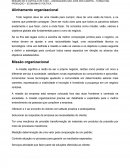 Resumo de Alinhamento Organizacional