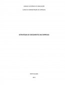 ESTRATÉGIAS DE CRESCIMENTO DAS EMPRESAS