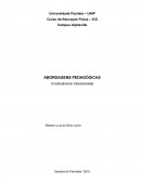 Abordagem pedagogica Construtivismo Interacionista no Ensino Fundamental