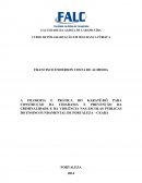 A FILOSOFIA E PRÁTICA DO KARATÊ-DÔ PARA CONSTRUÇÃO DA CIDADANIA E PREVENÇÃO DA CRIMINALIDADE E DA VIOLÊNCIA NAS ESCOLAS PÚBLICAS DO ENSINO FUNDAMENTAL