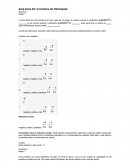 Matematica Conceitos de Otimização