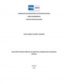 RELATÓRIO TÉCNICO SIMPLES DA DISCIPLINA COMUNICAÇÃO E REDAÇÃO TÉCNICA