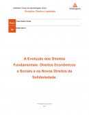 A Evolução dos Direitos Fundamentais: Direitos Econômicos e Sociais e os Novos Direitos da Solidariedade.