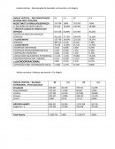 Analise Vertical - Demostração do Resultado do Exercício – Cia Alegria