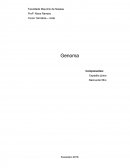 DIFERENÇAS ENTRE GENOMA EUCARIÓTICOS E PROCARIOTICOS