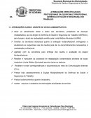 ATRIBUIÇÕES ESPECÍFICAS DOS PROFISSIONAIS DA EQUIPE MULTIPROFISSINAL DA GERÊNCIA DE SAÙDE E SEGURANÇA DO TRABALHO